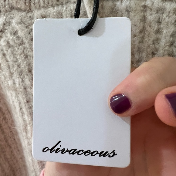 Brand New Olivaceous Distressed Light Tan/Grey Cropped Sweater Hoodie, Size L - Picture 5 of 8